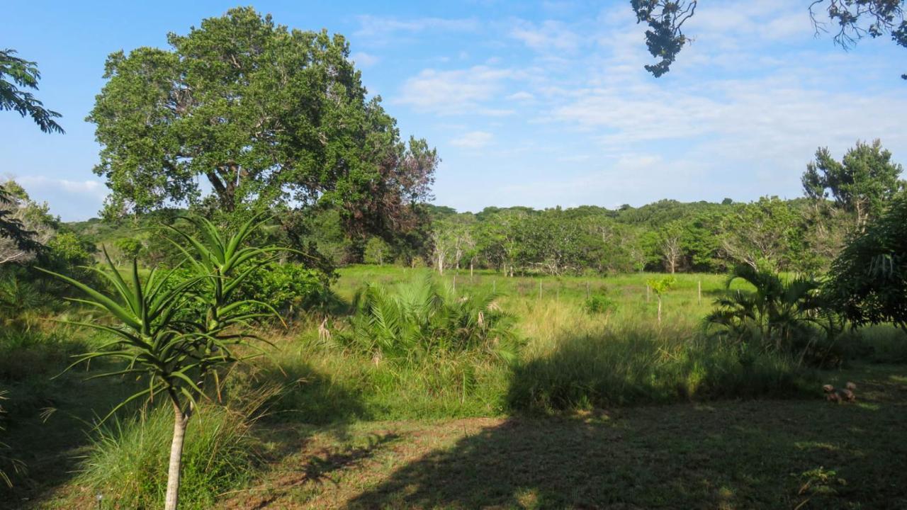 Lodge Umusa KwaMazambane Exteriér fotografie