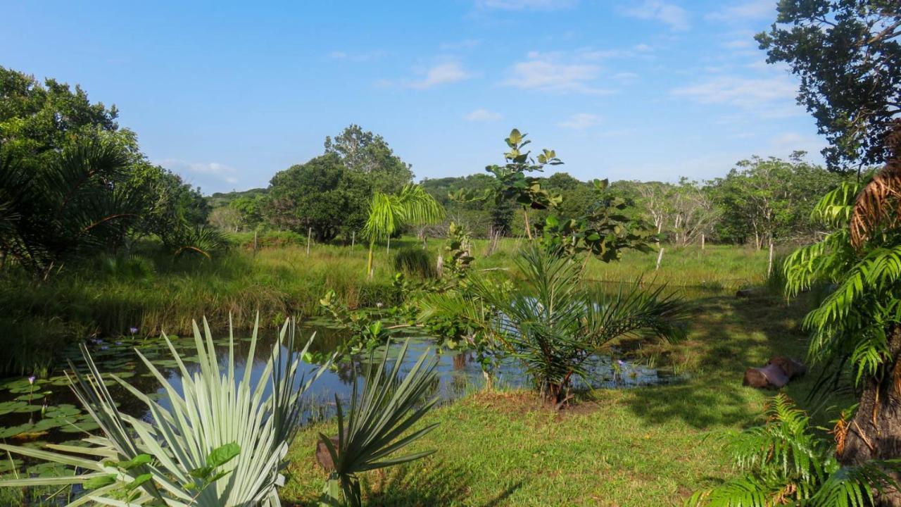 Lodge Umusa KwaMazambane Exteriér fotografie