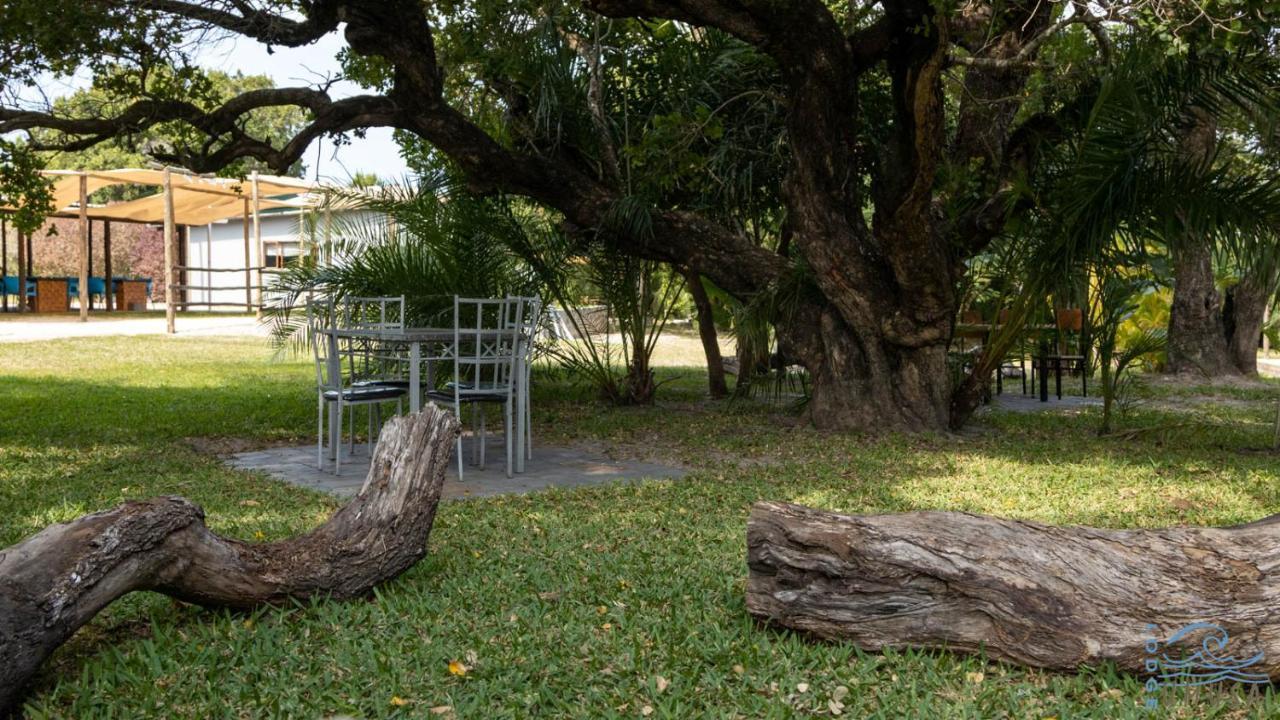 Lodge Umusa KwaMazambane Exteriér fotografie